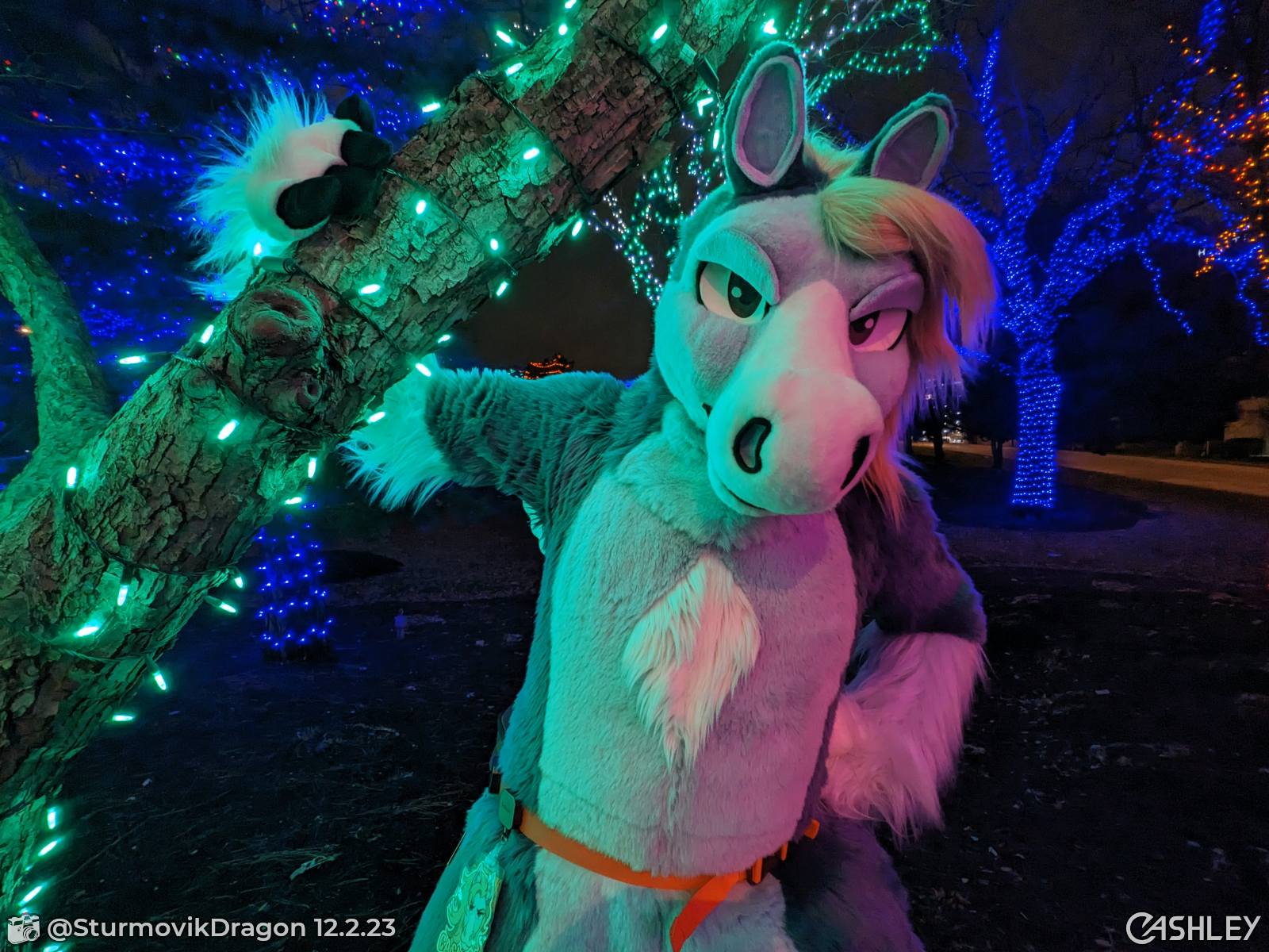 Fursuiteveryday | Wolfdog